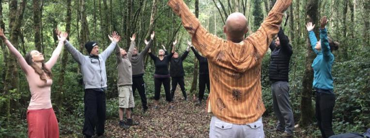 Qigong in the woods